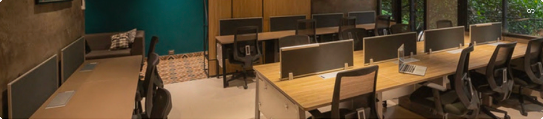 Dongle Desk — open coworking space with wood desks, privacy screens, teal accent wall, and garden views